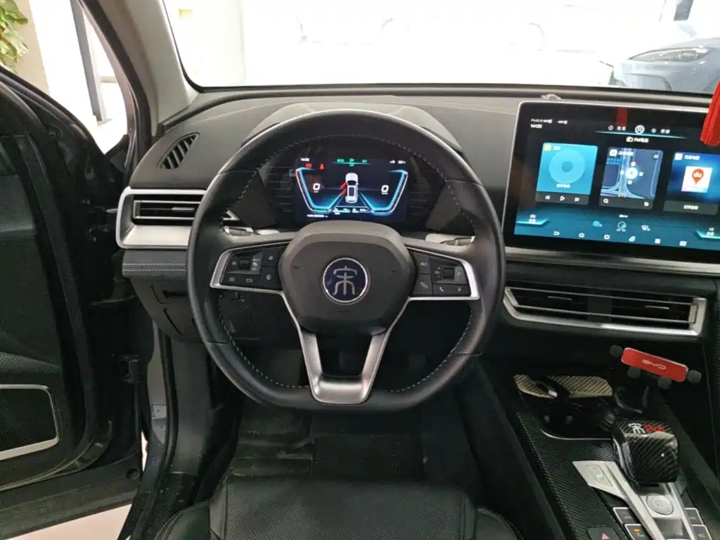 BYD Pro New Energy — миниатюра 11