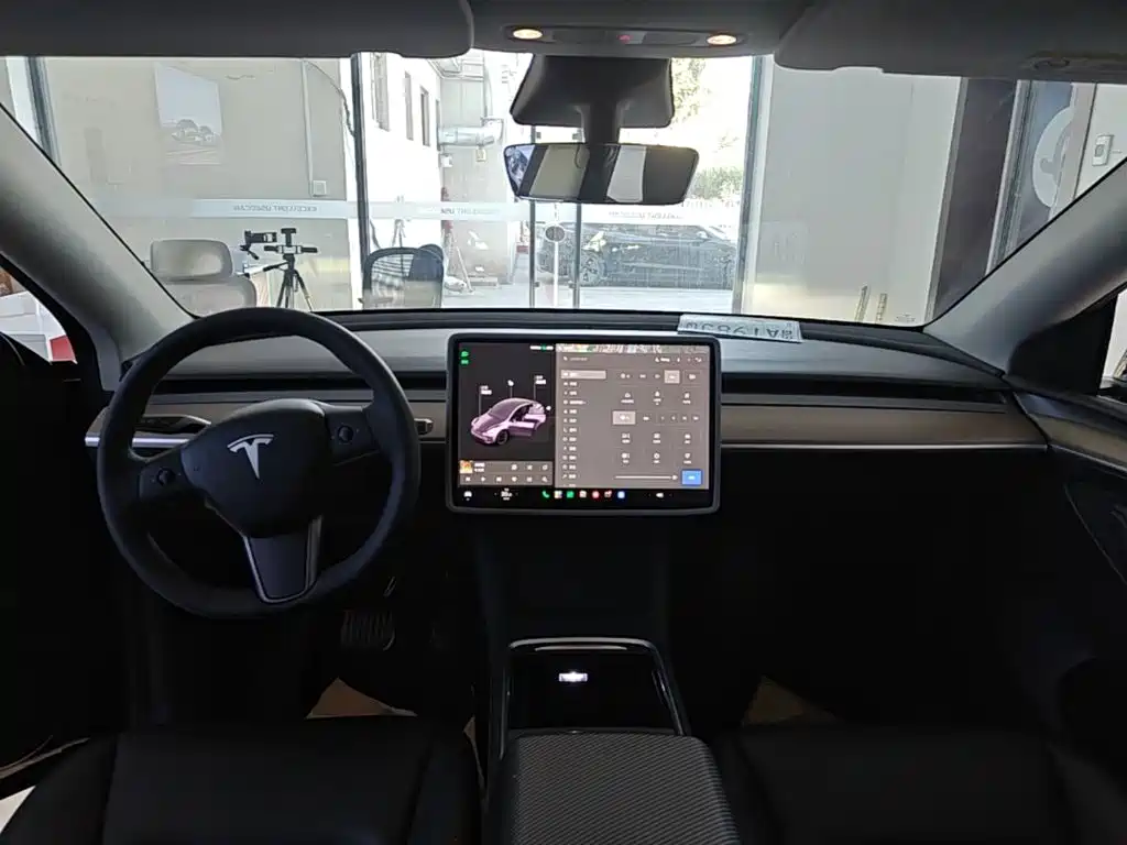 Tesla Model Y — миниатюра 10