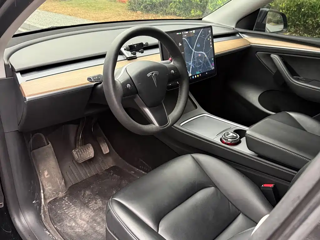 Tesla Model Y — миниатюра 4