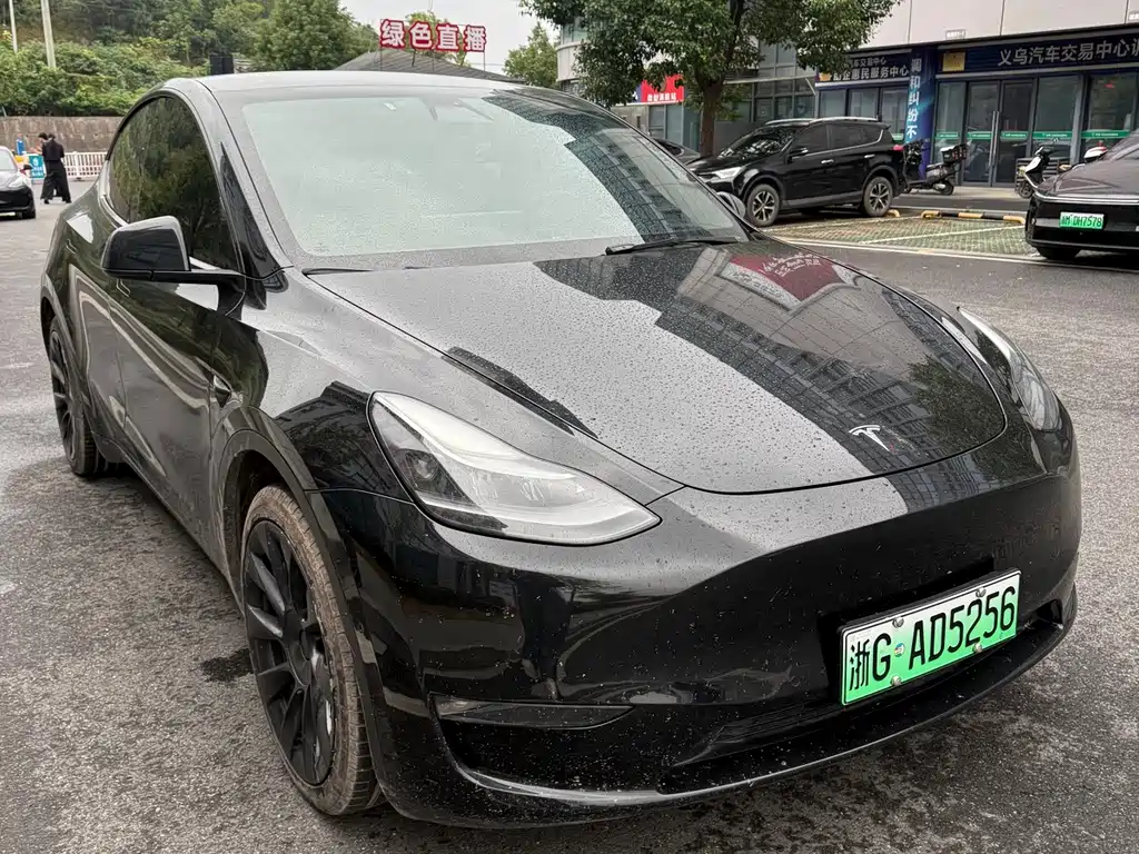 Tesla Model Y — миниатюра 15