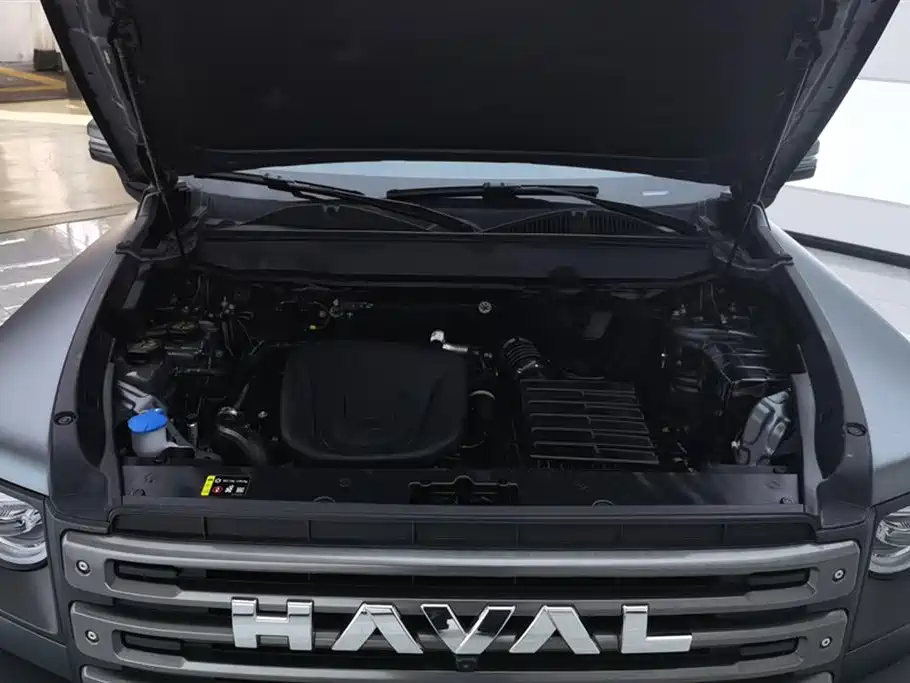 HAVAL RAPTORS NEW ENERGY