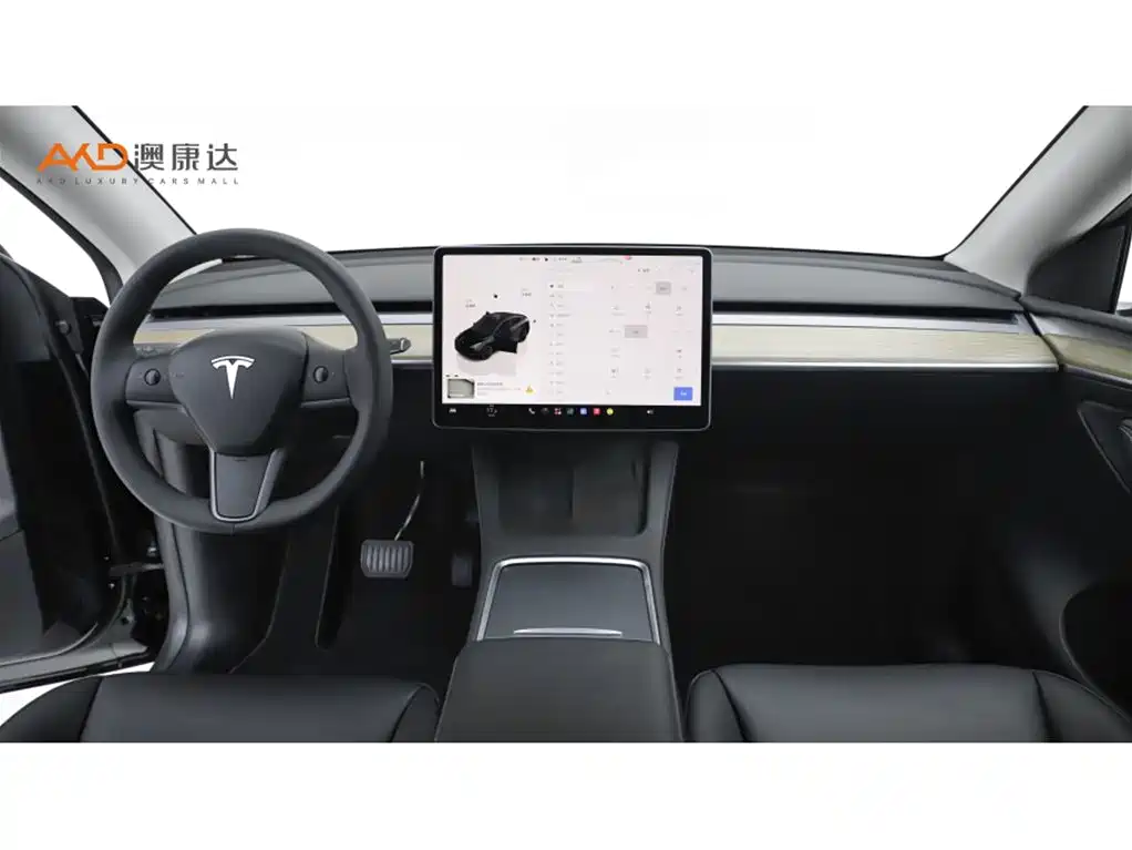 Tesla Model Y — миниатюра 5
