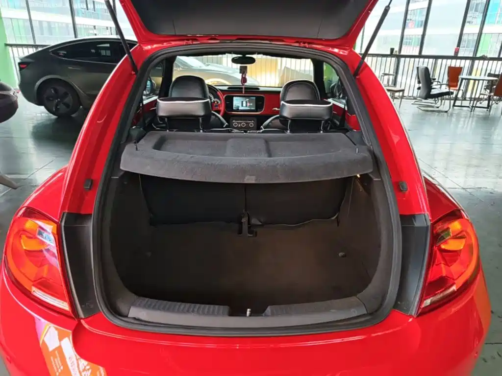 Volkswagen Beetle — миниатюра 19