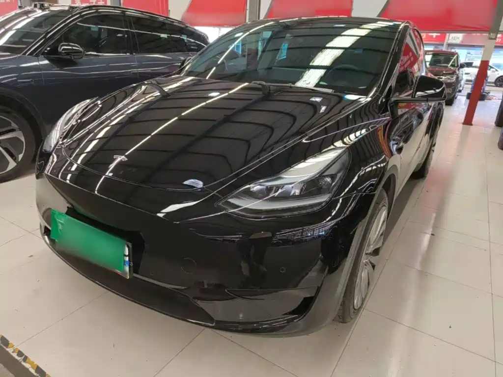 Tesla Model Y — миниатюра 2