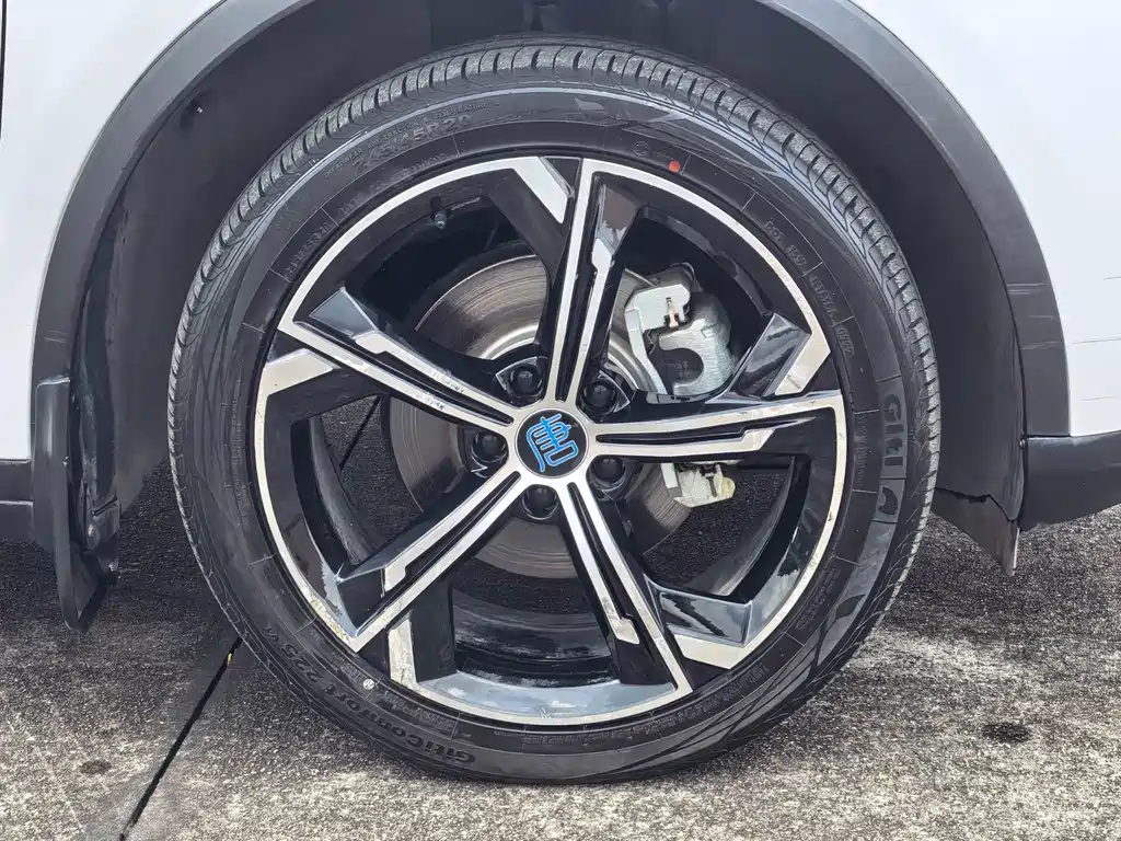 BYD Tang New Energy — миниатюра 29
