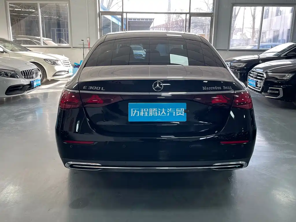 Mercedes-Benz E-Class E 2025 E 300 L Luxury
