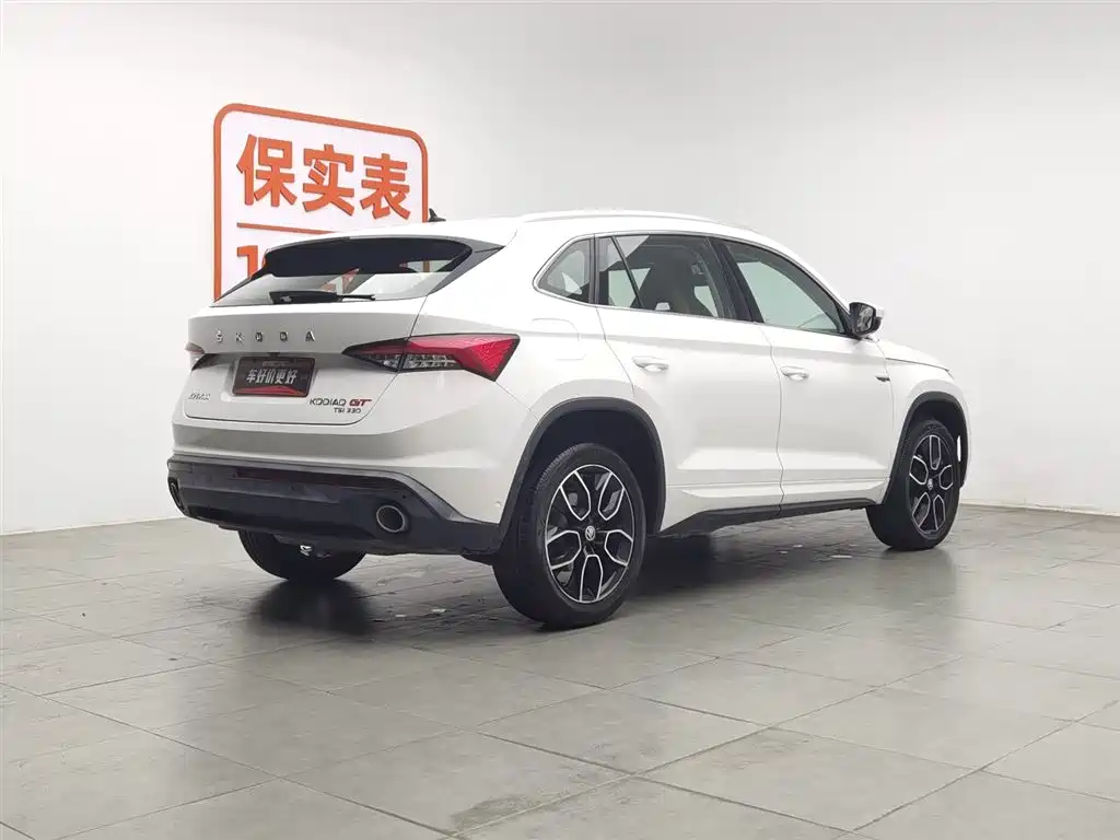 Skoda Kodiaq GT GT 2019 TSI330 Luxury VI
