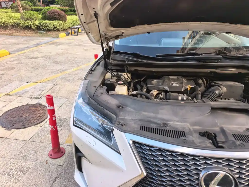 Lexus RX — миниатюра 19