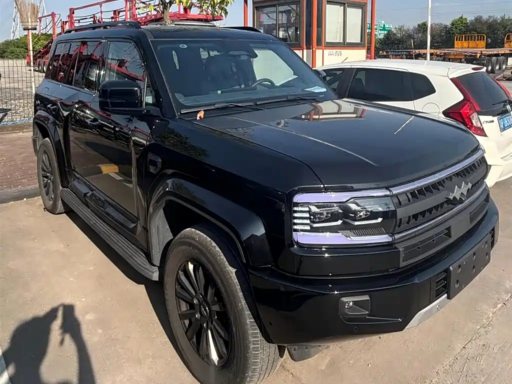 FANG CHENG BAO LEOPARD 5