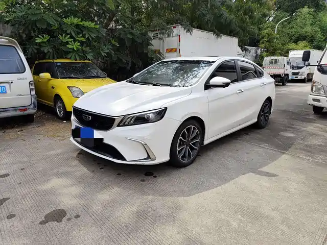 2021 Geely Binrui