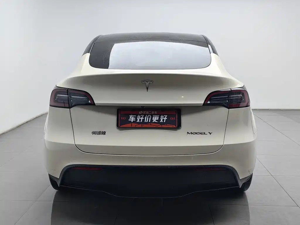 Tesla Model Y — миниатюра 4