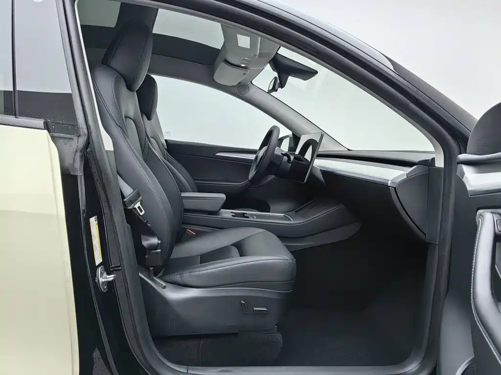 Tesla Model Y — миниатюра 23