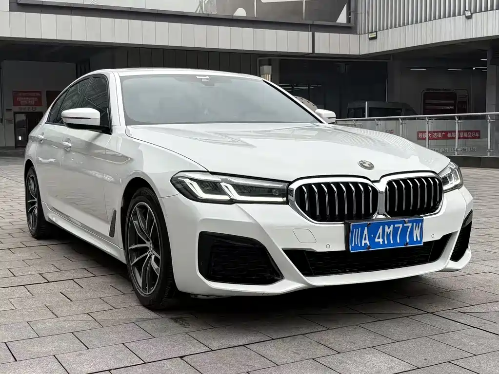BMW 5 SERIES