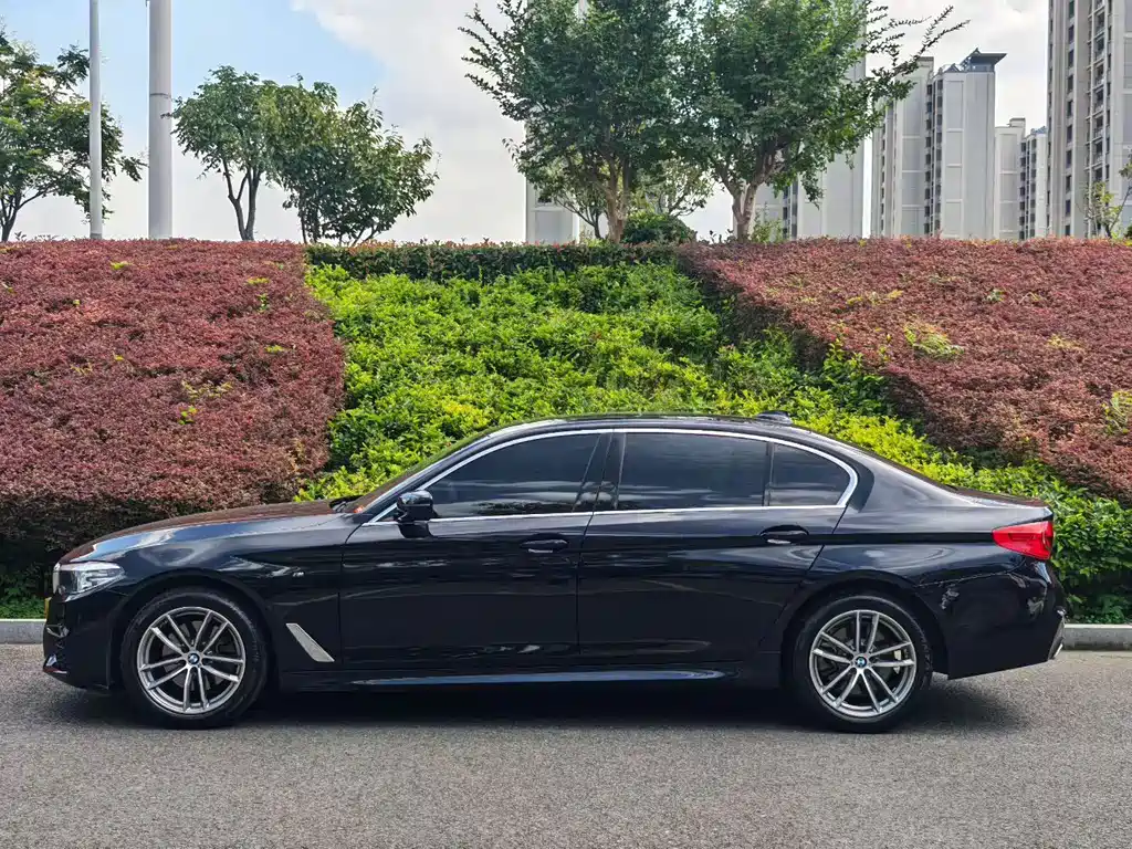 BMW 5 Series — миниатюра 3