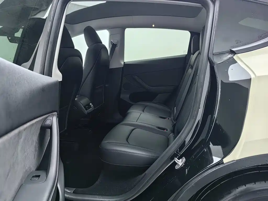 Tesla Model Y — миниатюра 15