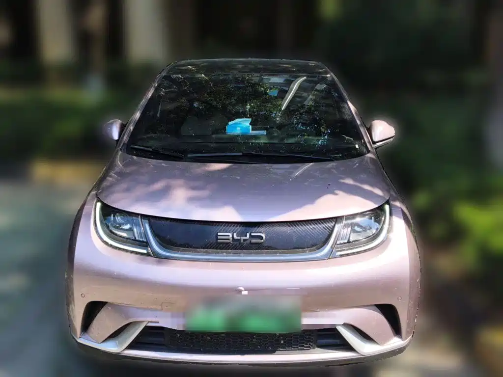 BYD Dolphin — миниатюра 2