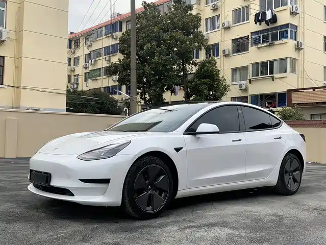 TESLA MODEL 3 2022