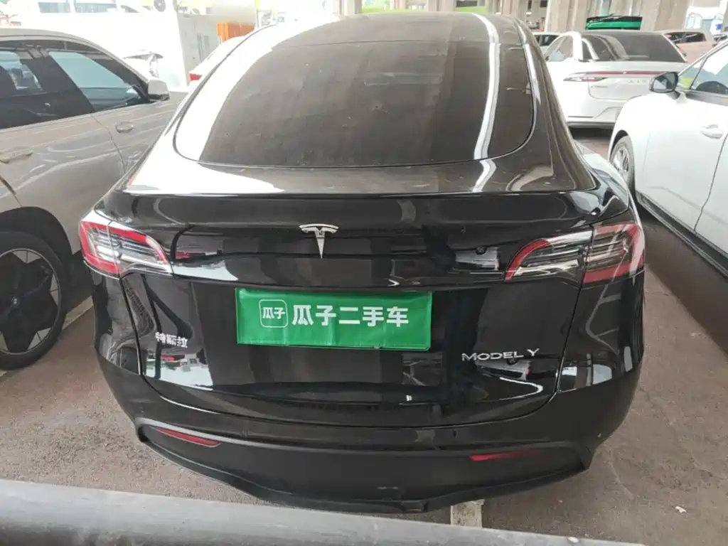 Tesla Model Y — миниатюра 6