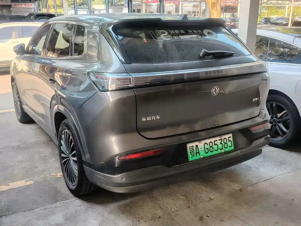 Aeolus L8 185KM Dream Edition, фото 18