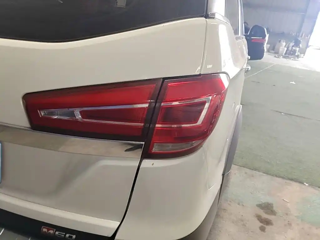 BAW Weiwang M60 — миниатюра 24