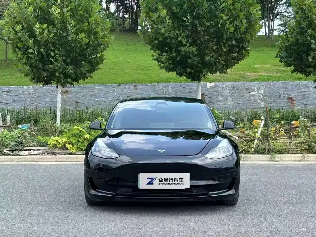 Tesla Model 3 — миниатюра 2