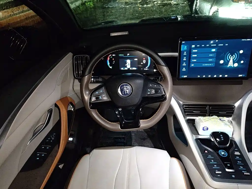 BYD Pro New Energy — миниатюра 6