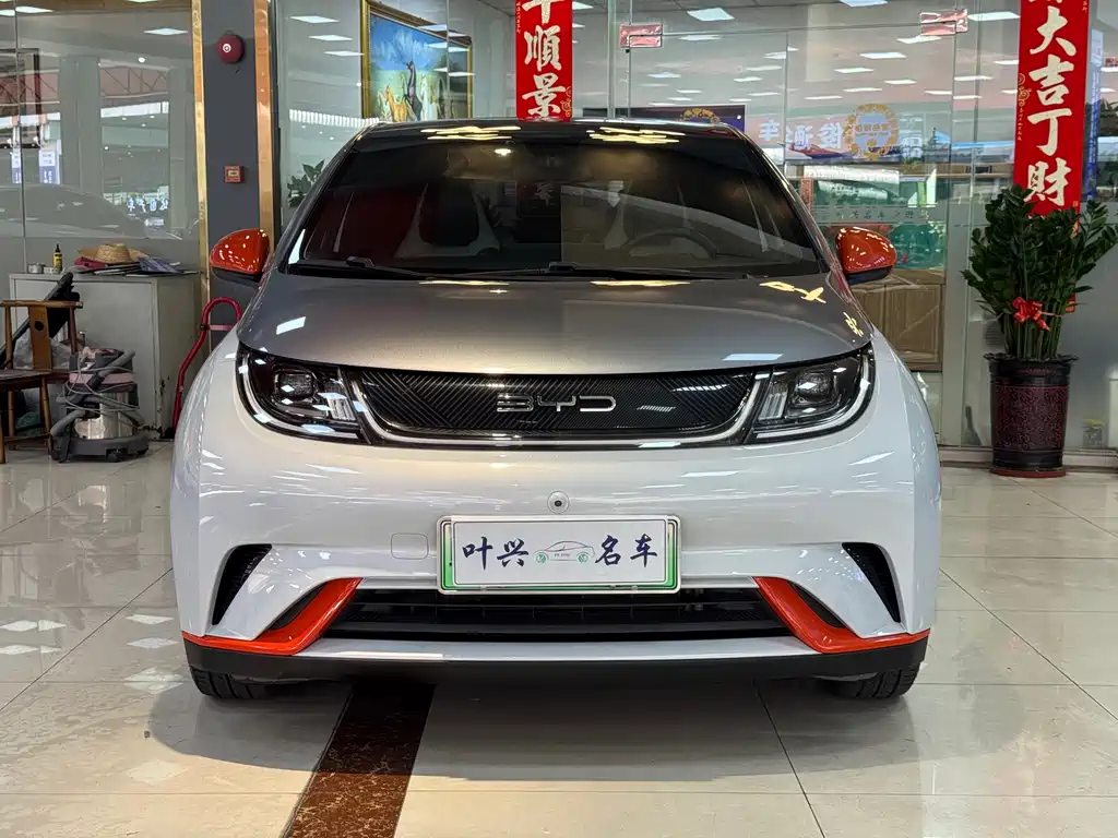 BYD Dolphin — миниатюра 2