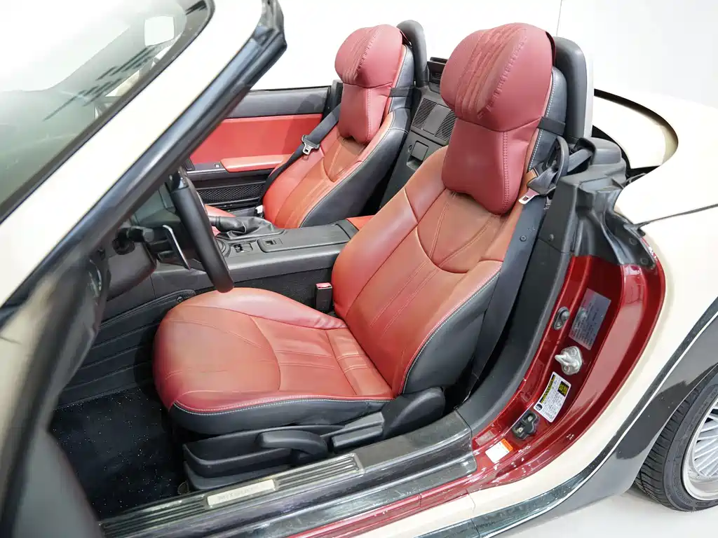 Mitsuoka Queen — миниатюра 15
