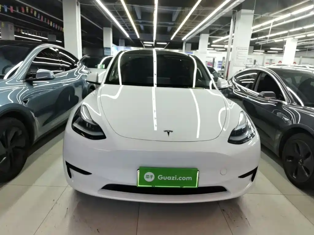 Tesla Model Y — миниатюра 3