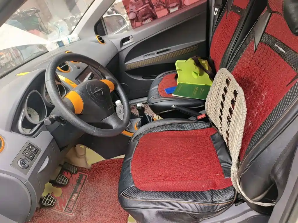 Haima Cowin — миниатюра 16