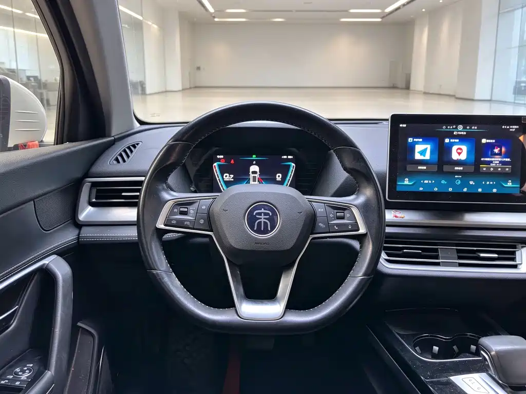 BYD Pro — миниатюра 14