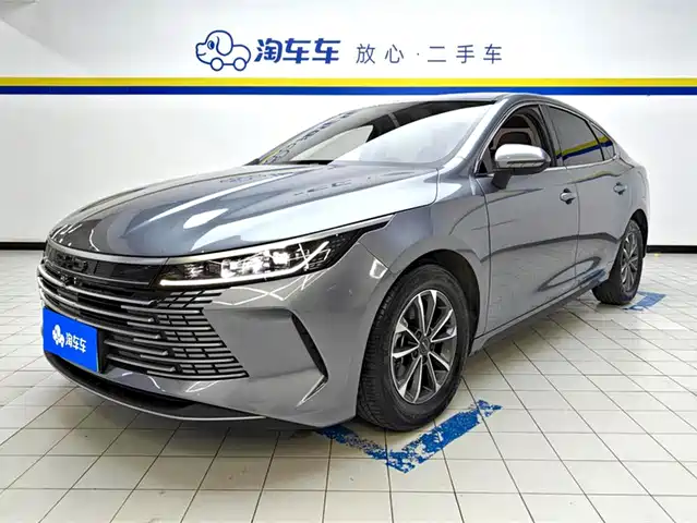 BYD DESTROYER 05 2023
