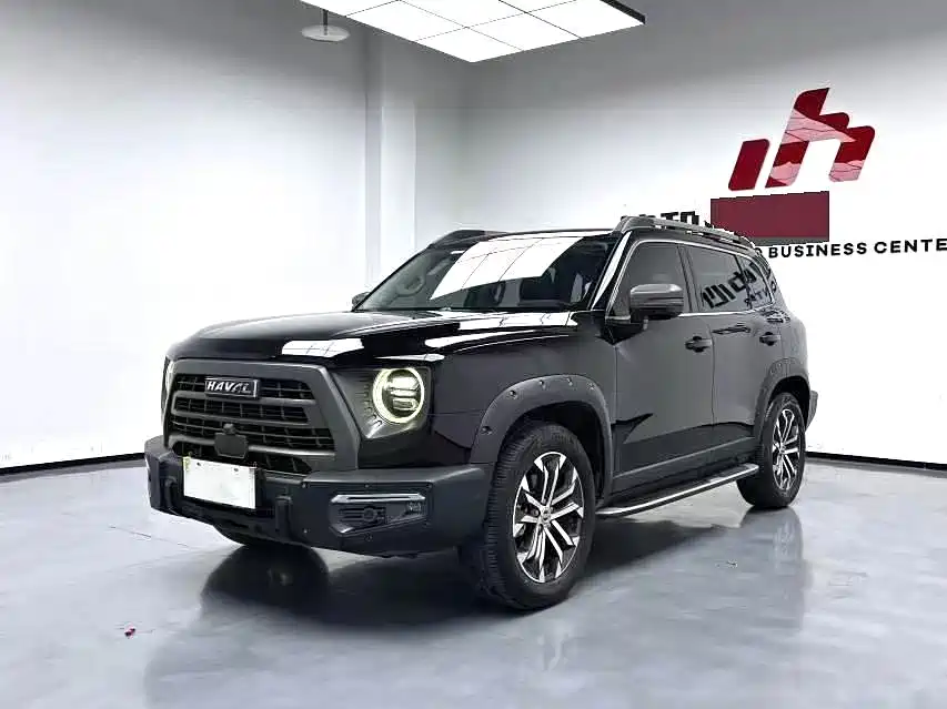 HAVAL BIG DOG