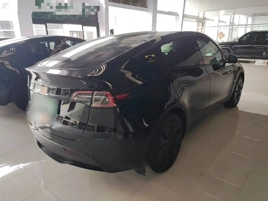 Tesla Model Y — миниатюра 7