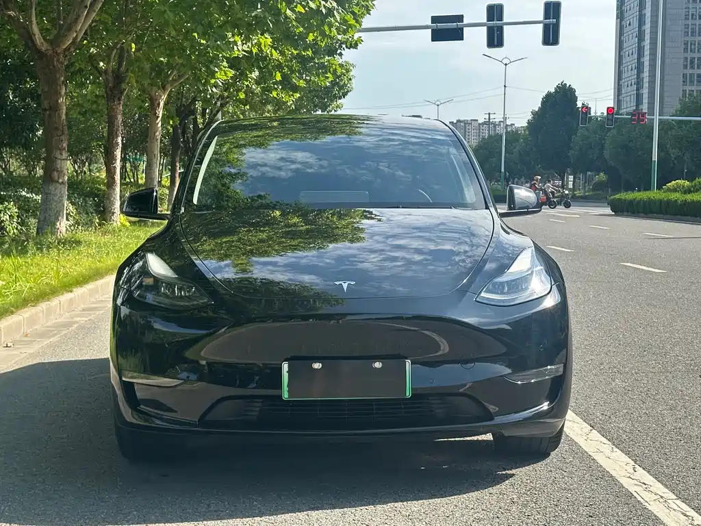 Tesla Model Y — миниатюра 2