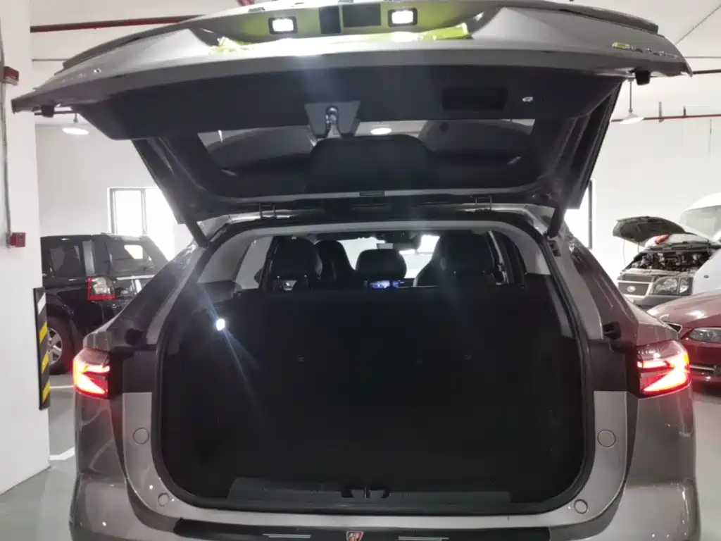Roewe RX5 New Energy — миниатюра 19