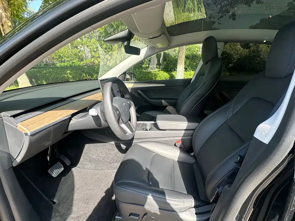 Tesla Model Y — миниатюра 6