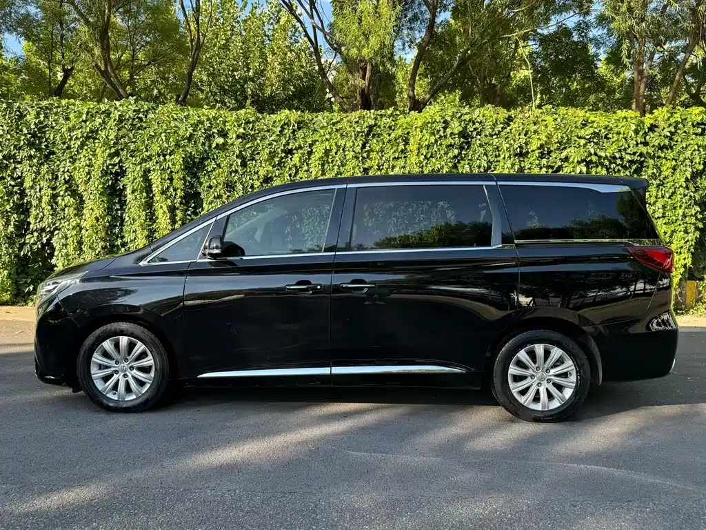 GAC Motor Trumpchi M8 — миниатюра 3