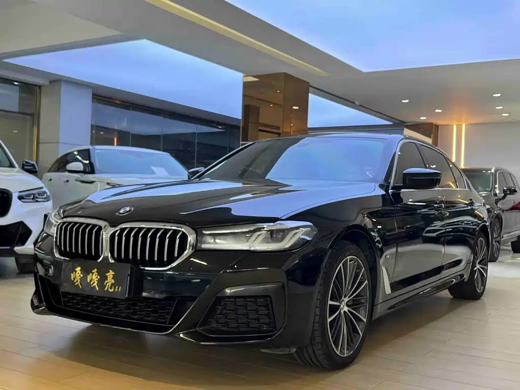 BMW 5 Series 2021