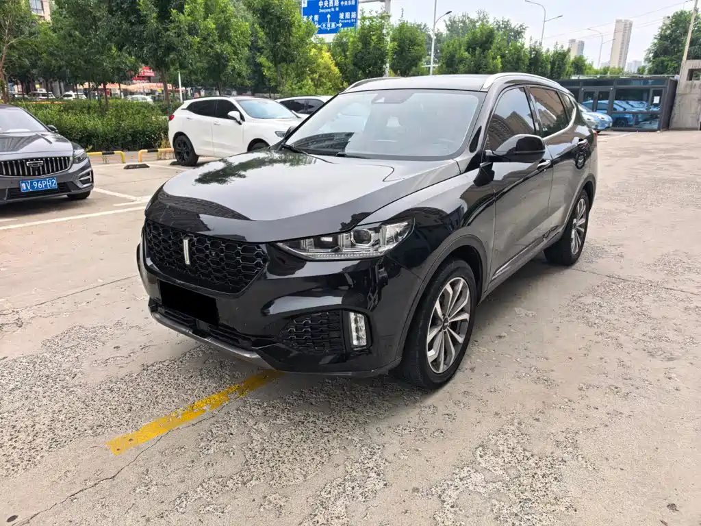 Wey Wey VV6