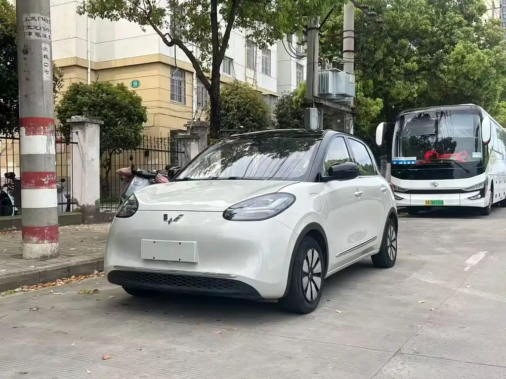 Wuling Bingo 2024