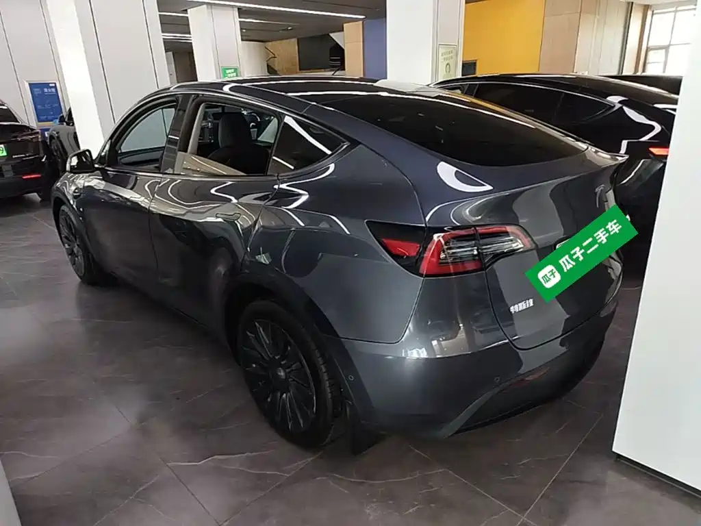 Tesla Model Y — миниатюра 5