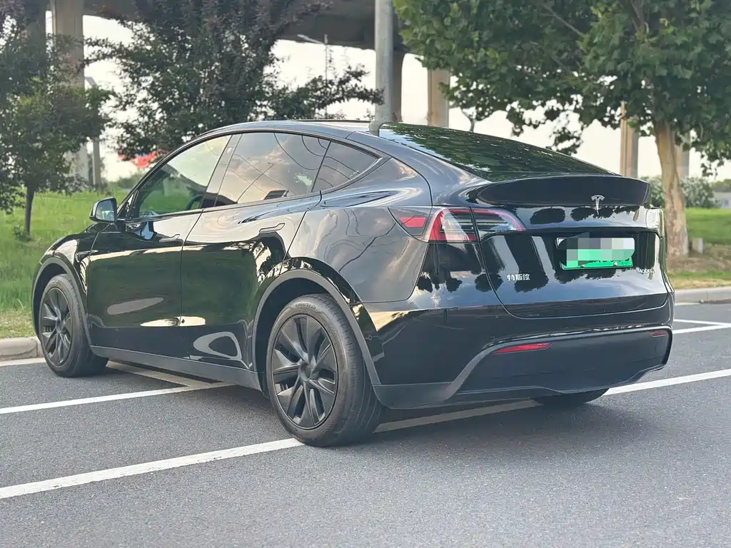 Tesla Model Y — миниатюра 7