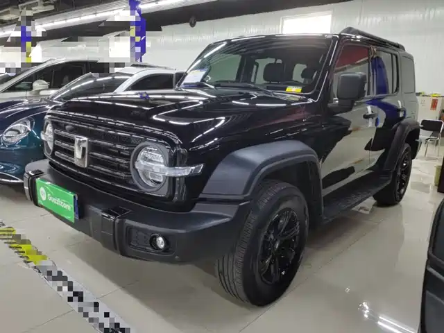 2024 TANK 300
