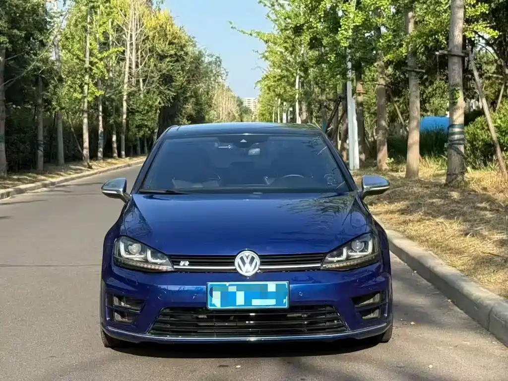 Volkswagen Golf (Import) — миниатюра 2