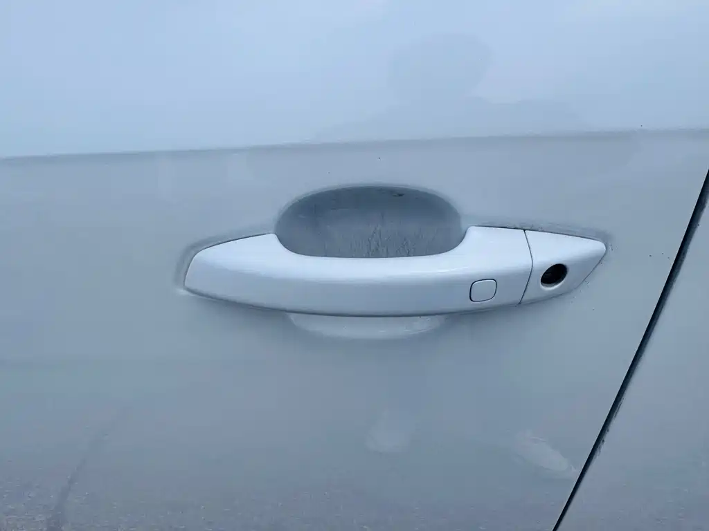 BYD Qin Plus PLUS 2024 DM-i 55KM Lead
