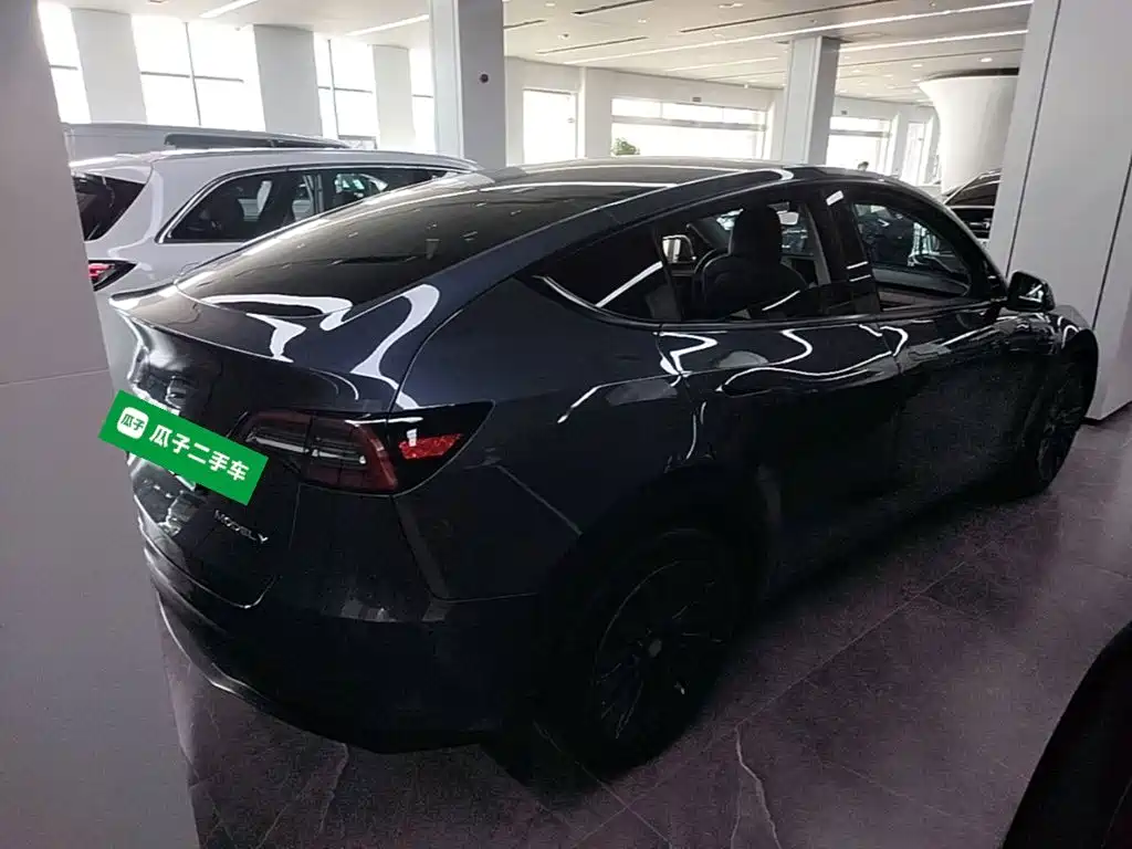 Tesla Model Y — миниатюра 7