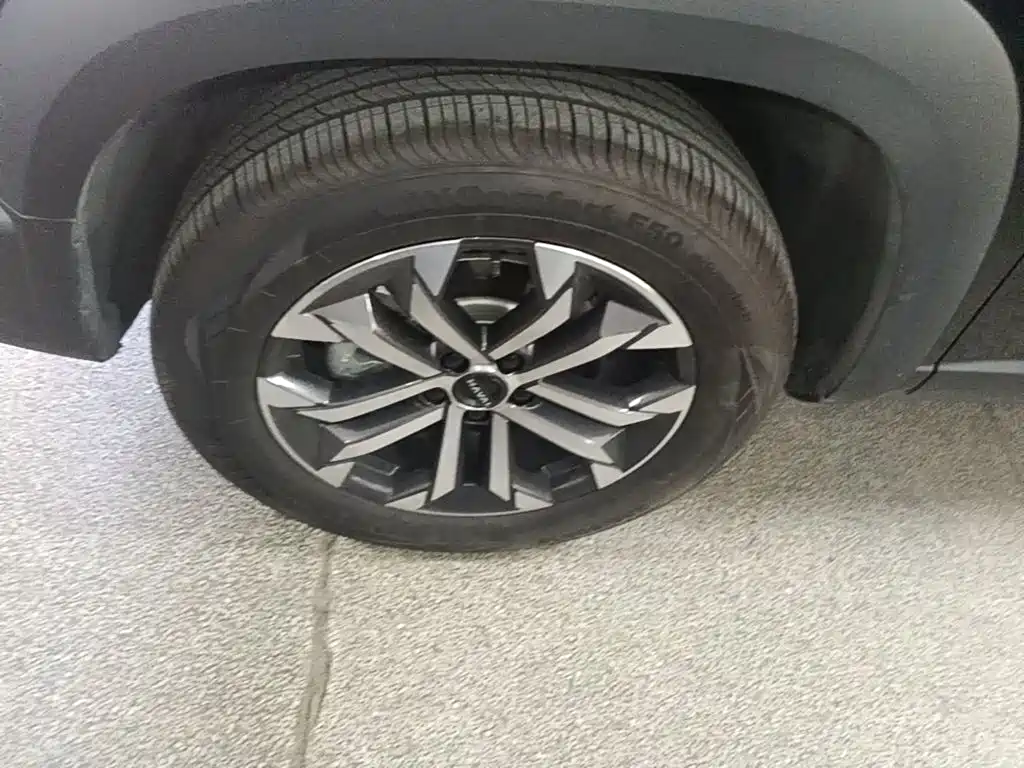 Haval Big Dog — миниатюра 23