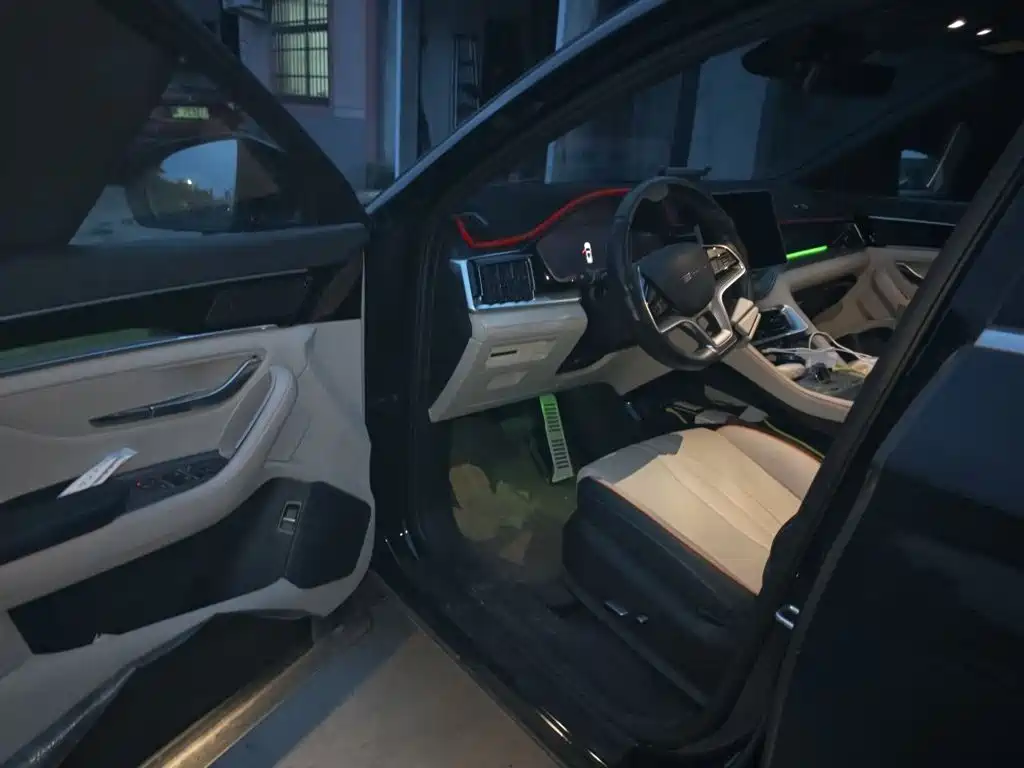 BYD PLUS New Energy — миниатюра 14