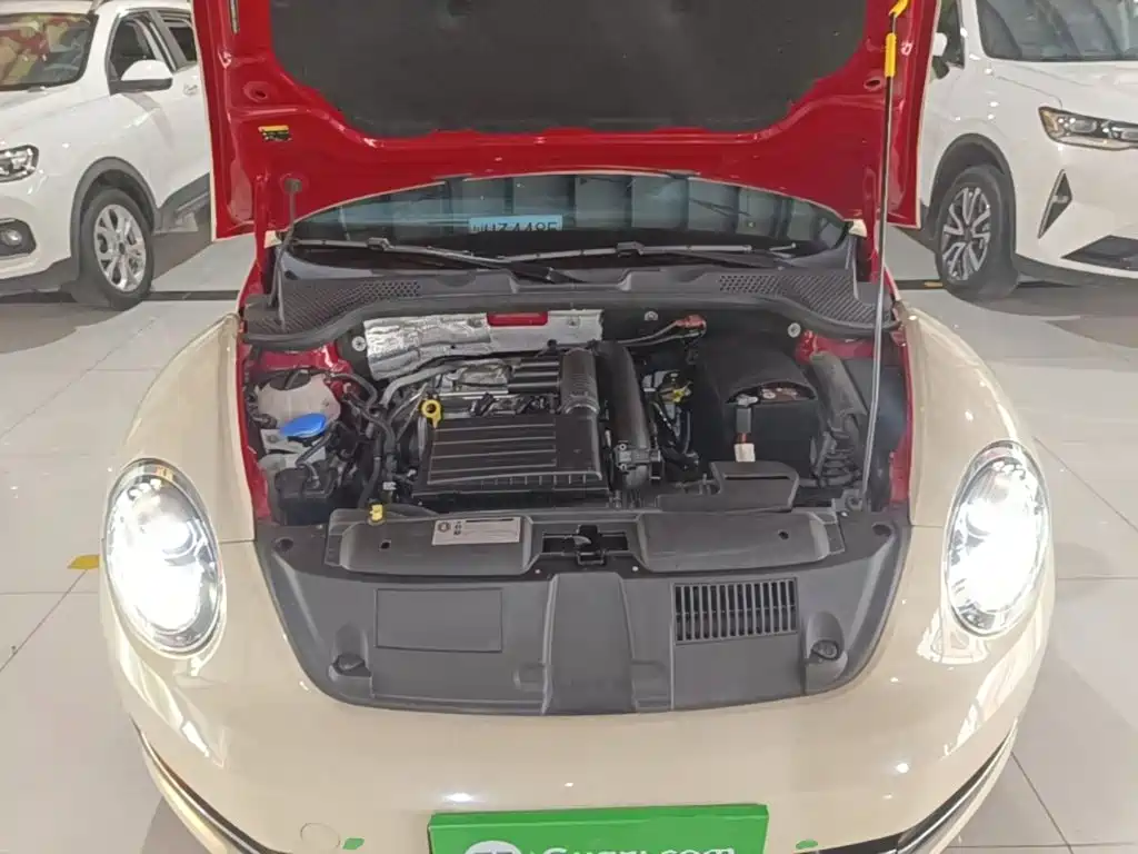 Volkswagen Beetle — миниатюра 20